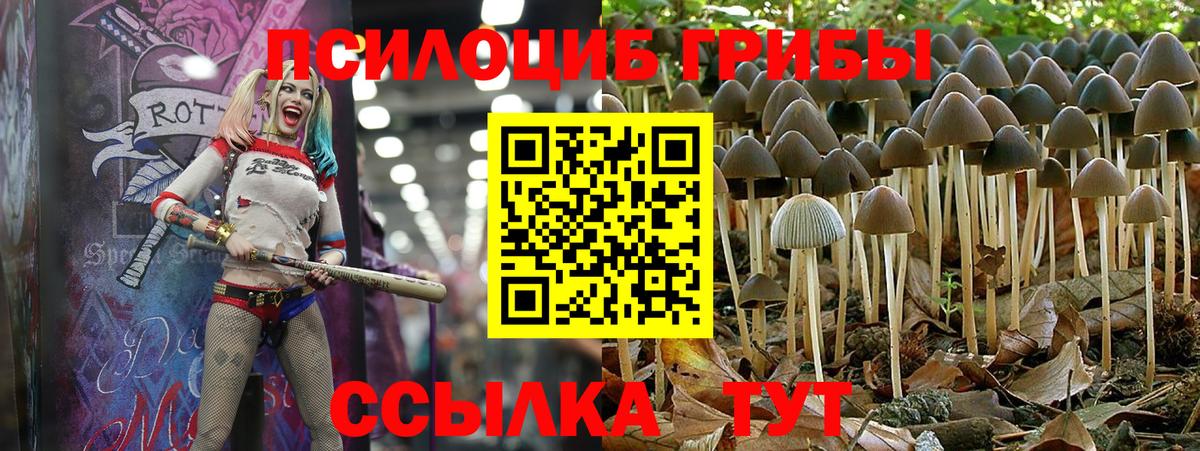 Реж  Галлюциногенные грибы MAGIC MUSHROOMS  Вход с VPN  Галлюциногенные грибы MAGIC MUSHROOMS 